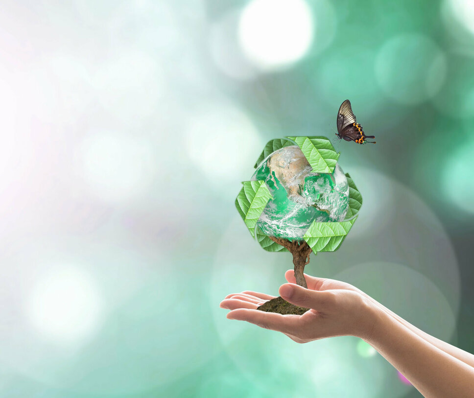 Hände halten einen Baum, dessen Äste den Erdglobus darstellen, vor einem leuchtenden Hintergrund. Über dem Baum ist ein Recycling-Symbol zu sehen, und ein Schmetterling fliegt auf ihn zu, was eine harmonische Verbindung von Natur und Nachhaltigkeit symbolisiert. In der Geschäftsethik von weba Werkzeugbau symbolisiert dieses Bild die Nachhaltigkeits- und Umweltschutzinitiative des Unternehmens.
