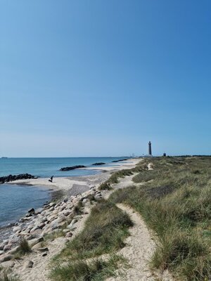 A sandy path winds through grass-covered dunes toward a lighthouse at the northern tip of Denmark. The calm sea and blue sky create a peaceful atmosphere.